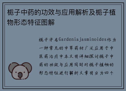 栀子中药的功效与应用解析及栀子植物形态特征图解