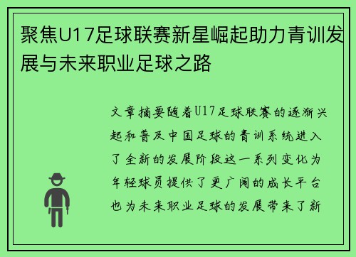 聚焦U17足球联赛新星崛起助力青训发展与未来职业足球之路