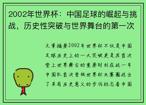 2002年世界杯：中国足球的崛起与挑战，历史性突破与世界舞台的第一次亮相